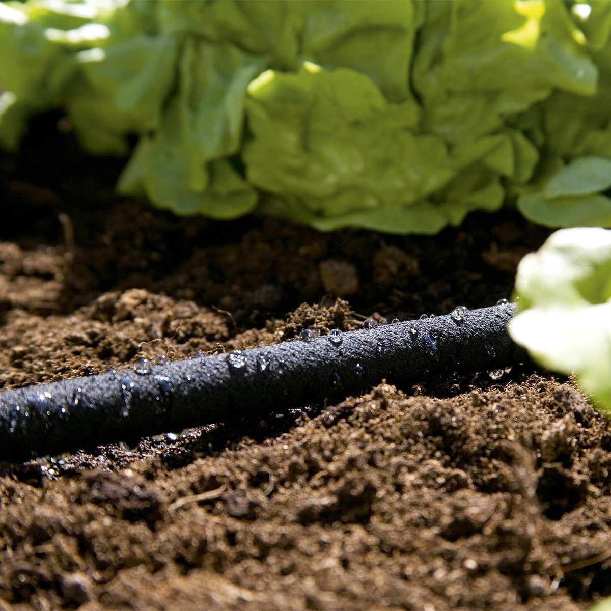 Porous pipe irrigation hose